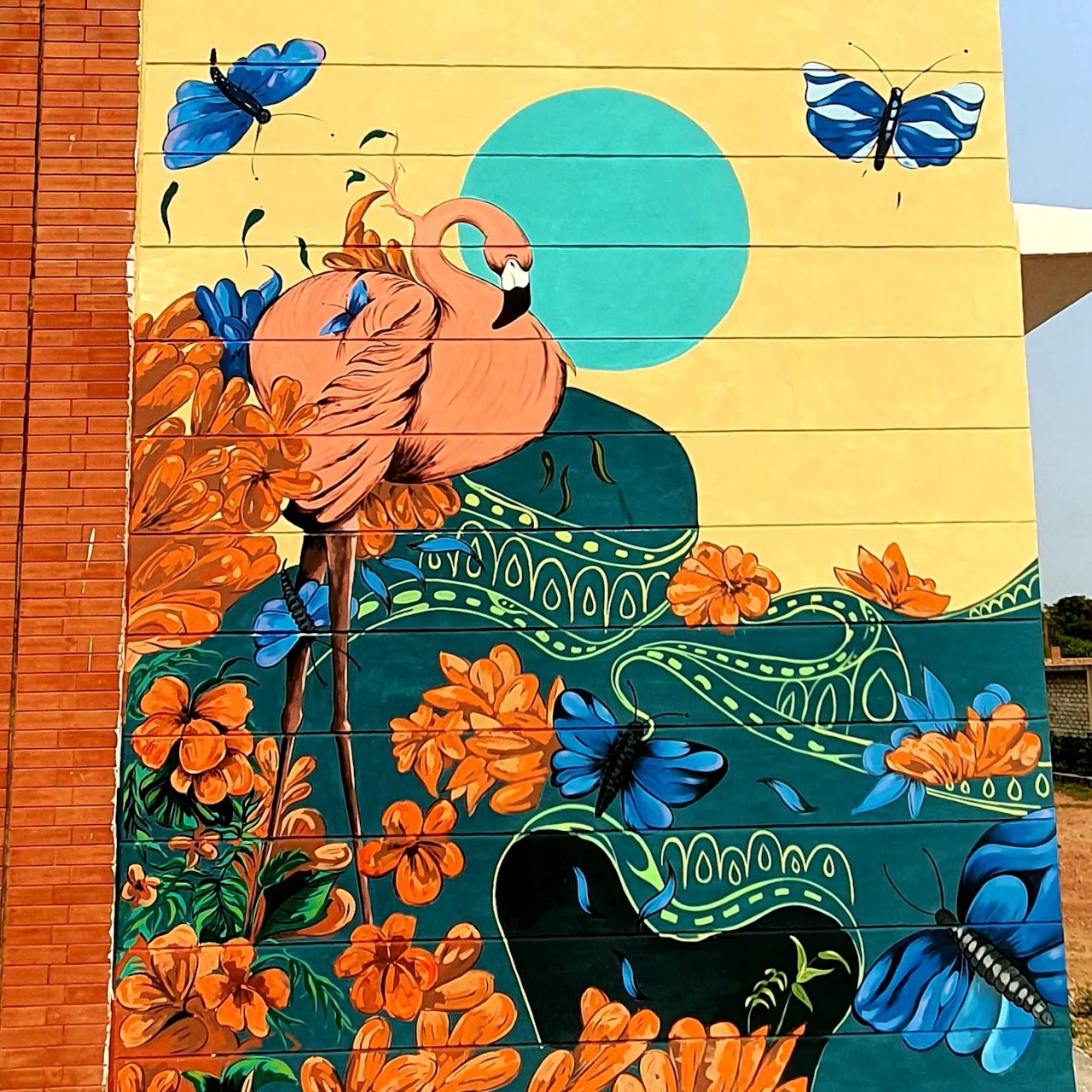 Colorcurio