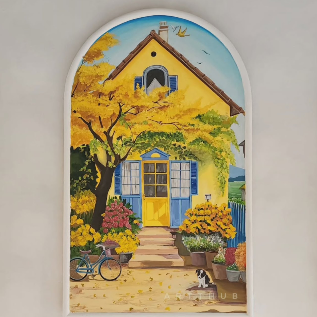 Colorcurio